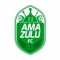 AmaZulu logo