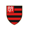 Flamengo SP Youth logo