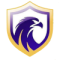 Falcon FC SE Youth logo