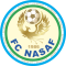 Nasaf Qarshi logo