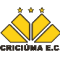 Criciuma U19 logo