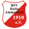 BSV Halle Ammendorf logo