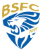 Brescia Youth logo