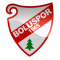 Boluspor U19 logo