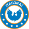 AD Itaborai U20 logo