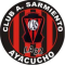 Sarmiento Ayacucho logo