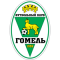 FK Gomel Reserves logo