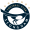 Seongnam logo