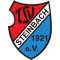 TSV Steinbach II logo