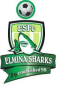 Elmina FC logo