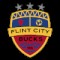 Flint City Bucks logo