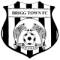 Brigg Town logo