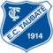 Taubate Youth logo