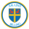 Belluno logo