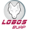 Lobos Puebla logo