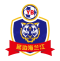 Yanbian Longding logo