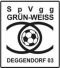 GW Deggendorf logo