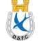 Dungannon Swifts Reserves logo