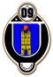 FC Schuttorf logo