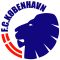 FC Copenhagen logo