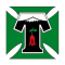 Deportes Temuco logo