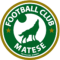 FC Matese logo