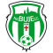 NK BUJE logo