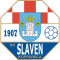 Slaven Belupo U19 logo