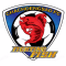 Chachoengsao FC logo