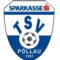 TSV Sparkasse Pollau logo