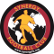 Synergy FC logo