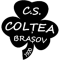 Coltea 1920 Brasov(w) logo