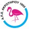 APEA Akrotiriou logo