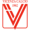 Vicenza Youth logo