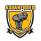 Ashanti Gold logo