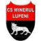 Minerul Lupeni logo