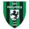 Usv Hengsberg logo