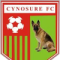 Cynosure FC logo