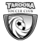 Taroona U20 logo