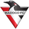 Nadogo FC U19 logo