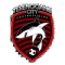 Terengganu City FC logo