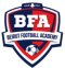 Beirut Academy (W) logo