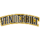 Vanderbilt(w) logo