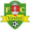 Vaslui logo