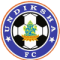 Undiksha FC logo