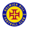 Dulwich Hill U20 logo