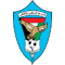 Dibba Al Fujairah U19 logo