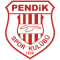 Pendikspor U19 logo