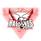 Deportivo Halcones de Rayon logo