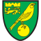 Norwich City(w) logo